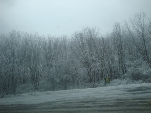 rainbowxcrayon's profile picture. I'm Michele. I'm 15. I love Adam Lambert and his band. They're amazing. You should follow me.