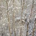 graham haskell - @roedyrowdy - Twitter