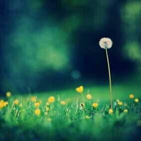 ara_rahmah's profile picture. La chose la plus précieuse que nous avons dans cette vie, c'est l'amour et l'affection des gens autour.