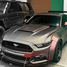 pluscolorke's profile picture. 