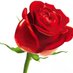 Chandralekha (@chandra36282834) Twitter profile photo Chandralekha (@chandra36282834) Twitter profile photo