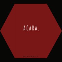 ACARA Presents: (@acara_presents) 's Twitter Profile