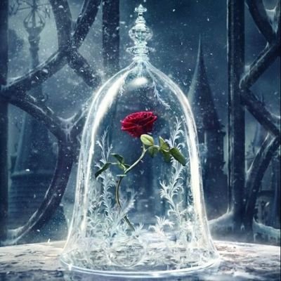 AIGndLbyW8d5ez5's profile picture. 山梨学院短期大学 ２年生
趣味のこと多め