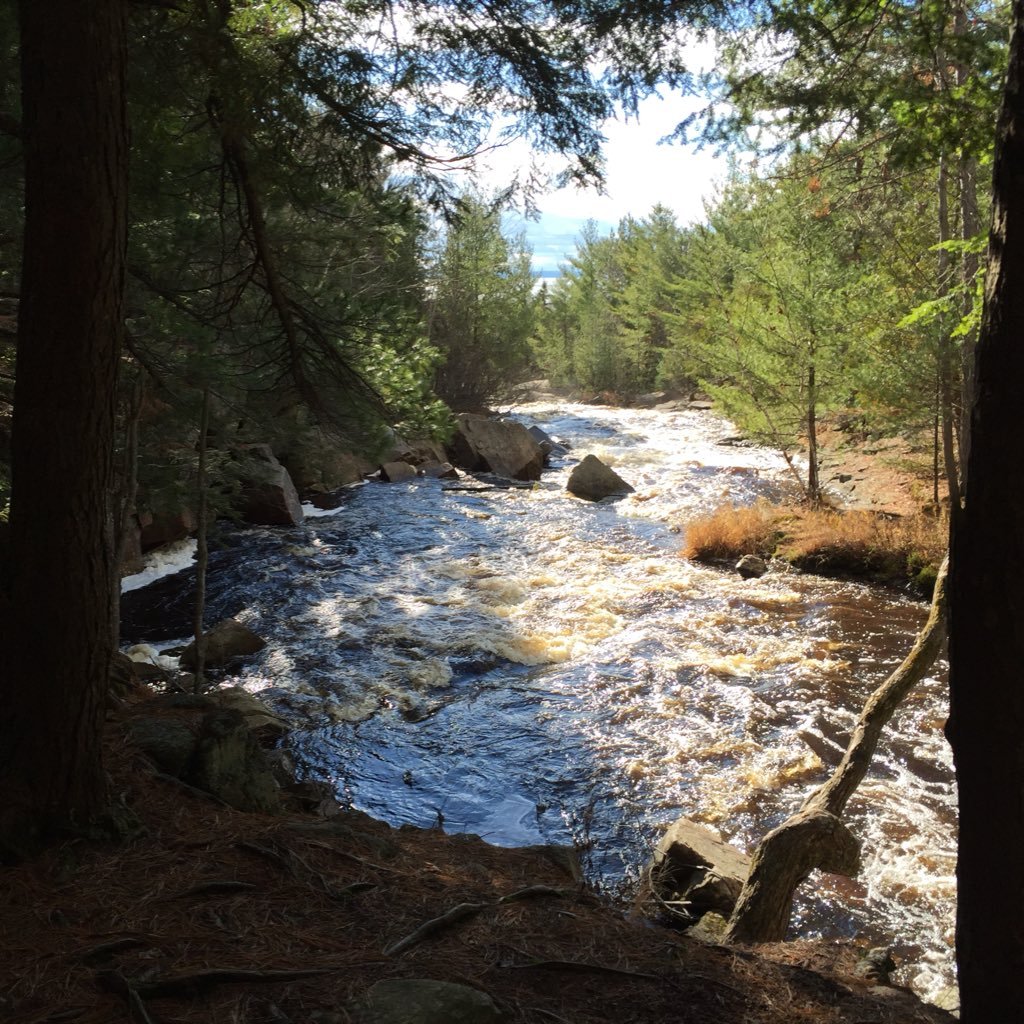 Michael39896740's profile picture. 