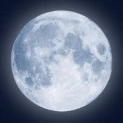 Apasionada por animales, ficción paranormal y el Mundo de Tinieblas.
Vive en Santiago con marido, dos perros y una paloma que se quebró el ala.