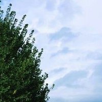 deok (@deok_25d) 's Twitter Profile