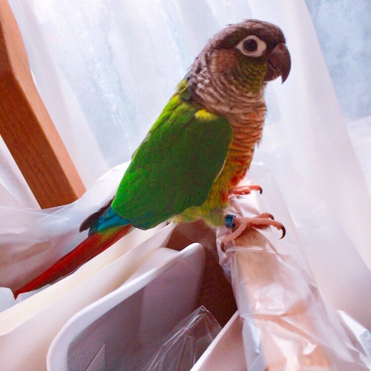 nico_hana_matsu's profile picture. 動物大好き現役女子高生の裏アカです。無言フォロー多いです😓ごめんなさい💦