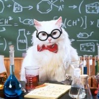 M. Sean Hickey (he/him) (@msheducation) 's Twitter Profile Photo