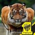 💛🖤ابو ريان 🖤💛 (@alaa_y_14) Twitter profile photo 💛🖤ابو ريان 🖤💛 (@alaa_y_14) Twitter profile photo