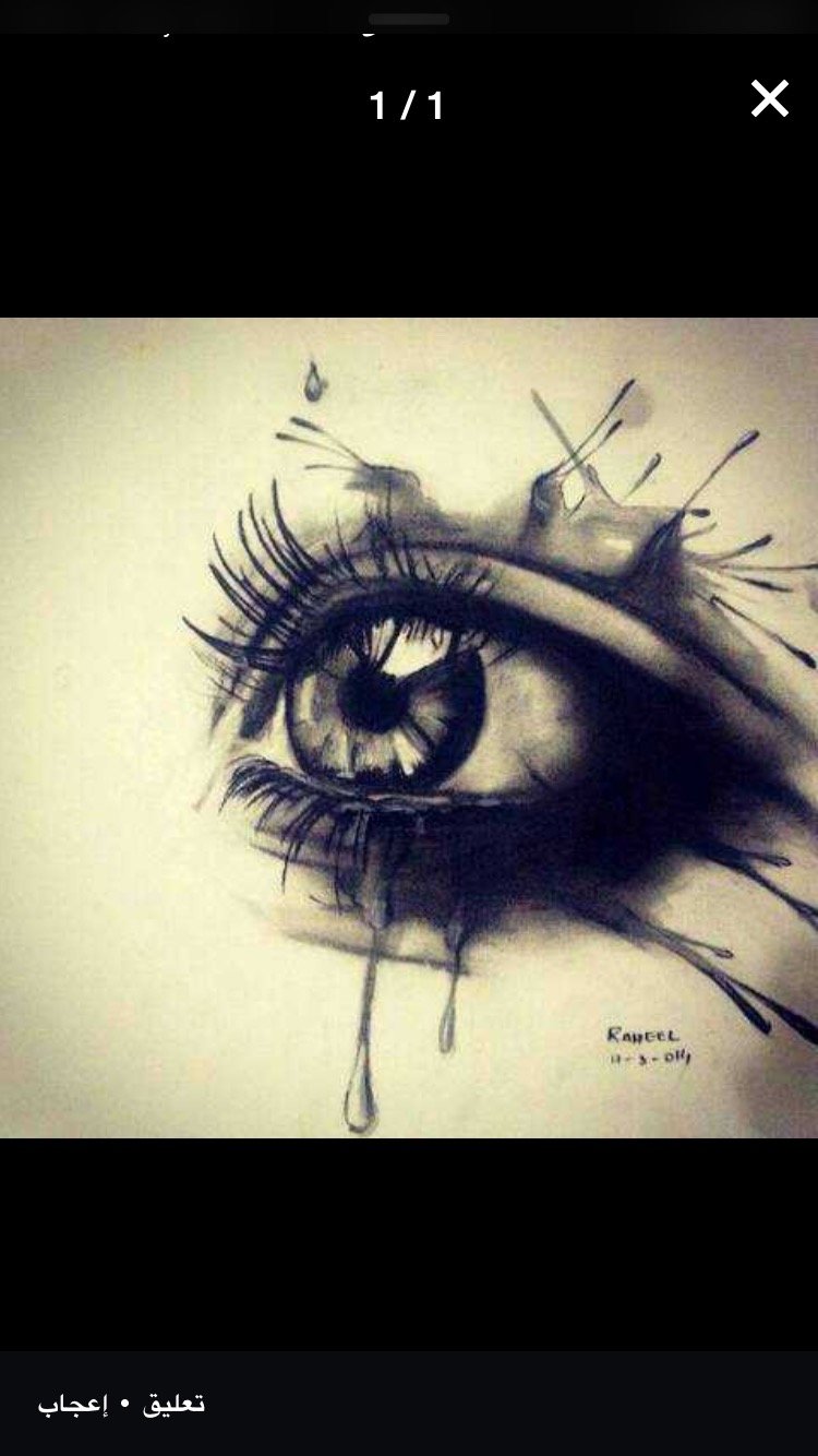 WafaAlshaikey's profile picture. 