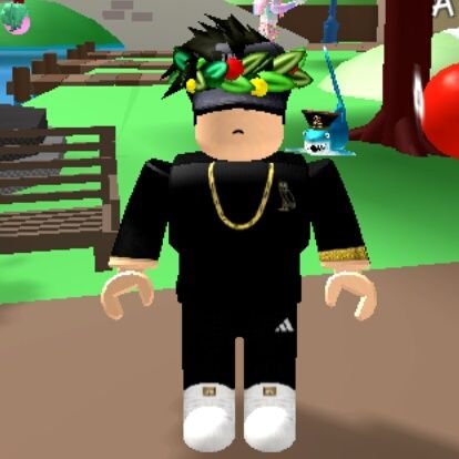 RobloxG62794764's profile picture. Roblox is life  my age is 12