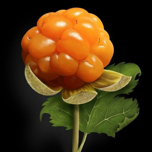 collagen98's profile picture.