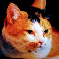 ヒデ (@boby1192ok) Twitter profile photo