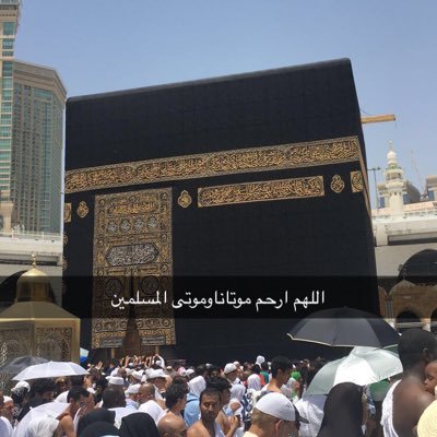 om_rashed0110's profile picture. الأخبار