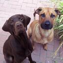 Abbie Rich - @abbierich - Twitter