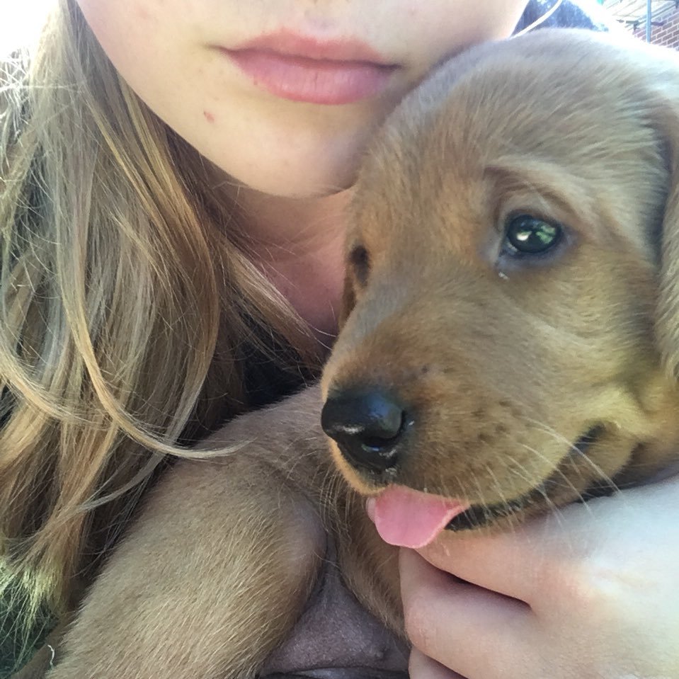 jodieepryor's profile picture. 