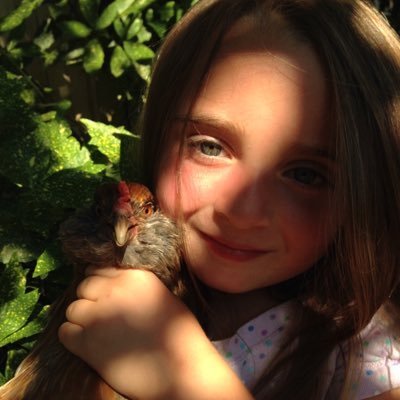 BMaesay's profile picture. I say things