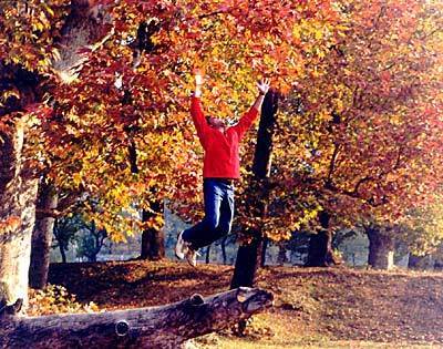 imajitchandra's profile picture. 