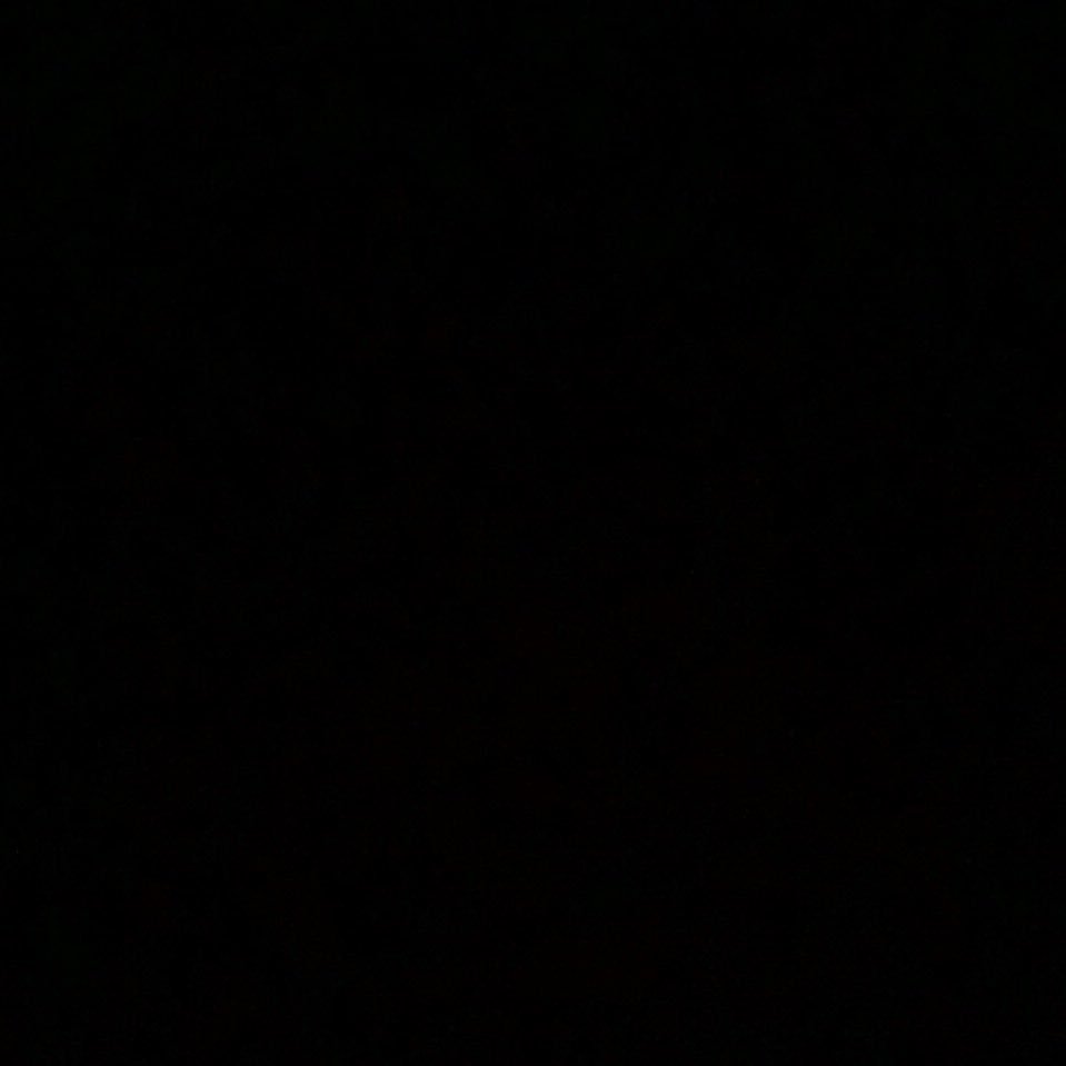 GutsyMaid's profile picture. .