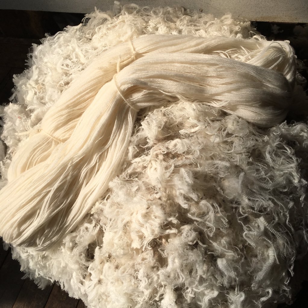 vikkileefi's profile picture. Manager, Falkland Islands Wool Company. Wool agents for 60% of the Falkland Islands wool clip.