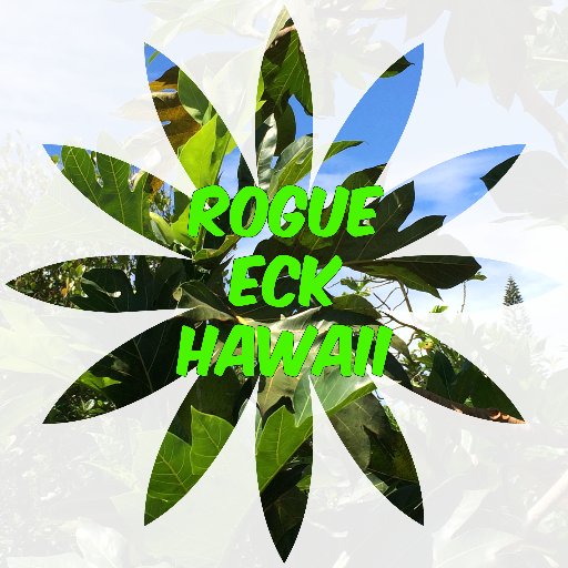 tribute to the Hawaii Eckankar chapter Like us on Facebook!