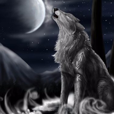 macaela_pestano's profile picture. 