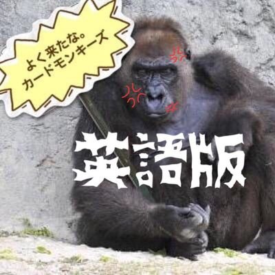 kaitorigoriraEn's profile picture. 日本橋オタロードのアニメイト近くにあるセブンイレブン向かい側にあるめいどりーみんさんの2階のカードショップの米版担当のアカウントデース。。
米版買取販売及び通販対応はこちらで対応いたしまーーす！！