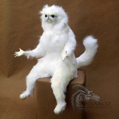 kingdom1190's profile picture. lying is a sin