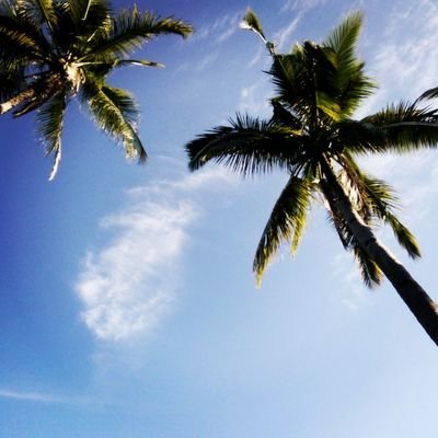 Infrasound1998's profile picture. 