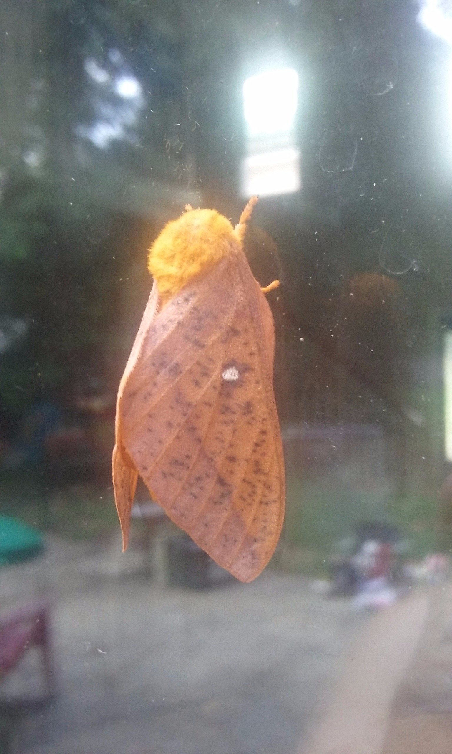 AnOrdinaryJerry's profile picture. 