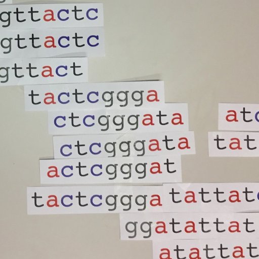 Automated science, high-throughput biology, and oral microbiology. @UMBME