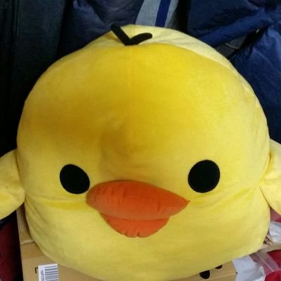 0824_2's profile picture. 酒とサッカーとガンダムと好きです。
前田慶次に憧れるおっさんです！
白石麻衣が可愛すぎて死にそう。
白猫　乃木坂４６　パチンコ　デスティーノ