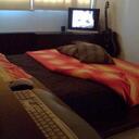 fanny jojo lam - @twinklebell24 - Twitter