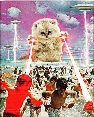 pandey384's profile picture. Everything makes me special.😎