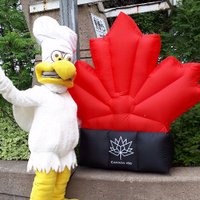 Wacky's (@wackywings) 's Twitter Profile