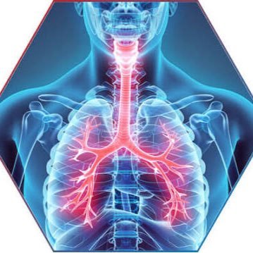 UTIFisioterapia's profile picture. Atualizações em Fisioterapia na Unidade de Terapia Intensiva