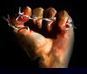 Excellent Cadaver
