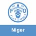 FAO au Niger (@FAONiger) Twitter profile photo