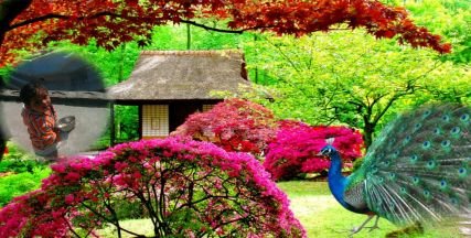 Jalaludinkaros1's profile picture. 