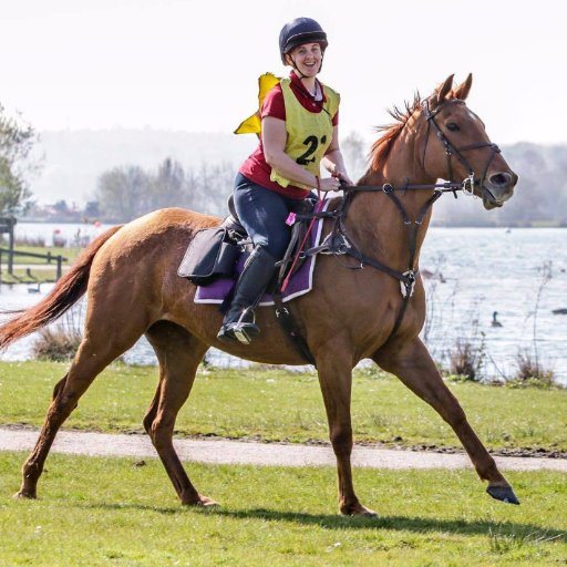 Follow the adventures of Fliss - a thoroughbred mare with a massive heart! Oh, and her human companion! Other horses: Pepper (OTTB) & Cally (Warmblood)