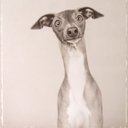 Uwe Meier - @UweFMeier - Twitter