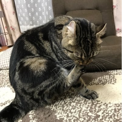 hinanosukeee_s's profile picture. 