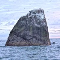 Rockall Island(@rockallisland) 's Twitter Profile Photo