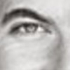 Thomas H. π Profile