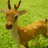 malukanaka7's profile image