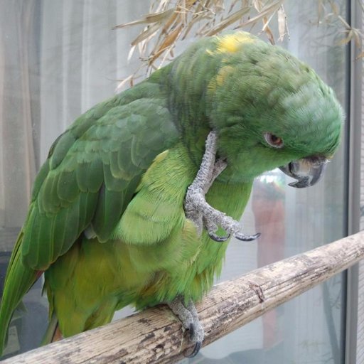 04tara18's profile picture. 海🏄️   鳥🐦️   アート🎨が好きな図面屋さん