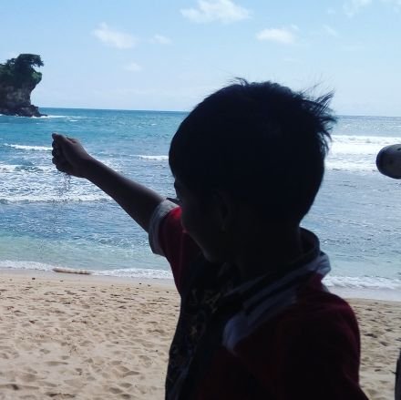 bachtiarmajid's profile picture. SDN PAGERWOJO 01