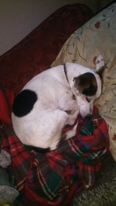 rainey_spinner's profile picture. Mrs Doasyouwouldbedoneby.#uniteplanet #lovehumanity. #oveworld https://t.co/Wem1UB0qk4… and https://t.co/71b0uRdqe3