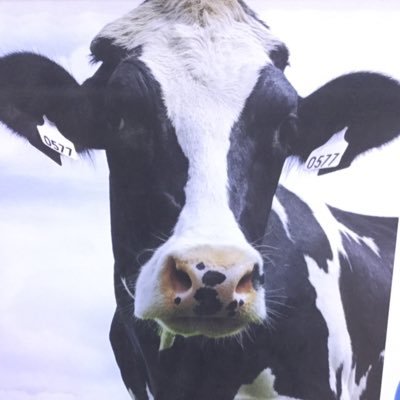 Halton Region Dairy Farmers