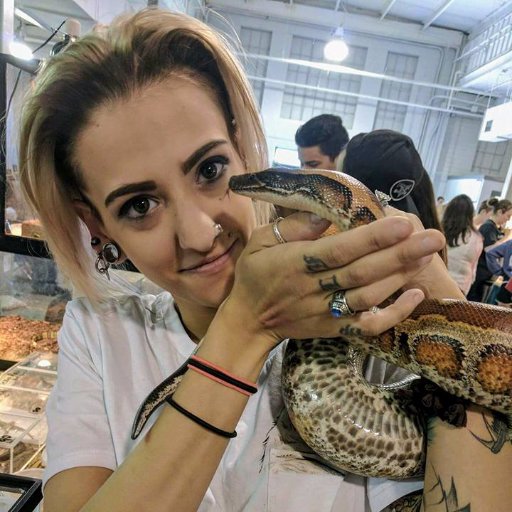 HDexoticanimals's profile picture. Animal lover, reptile keeper, rat breeder, cat whisperer, tarantula collector, and amateur flower photographer. 🐾🐱🐭🐍🦎🕷️🦋🌺🌼📷